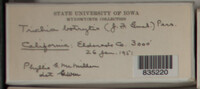 Image Associated With the Occurence